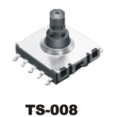 TS-008