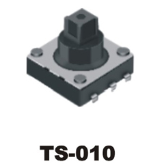 TS-010