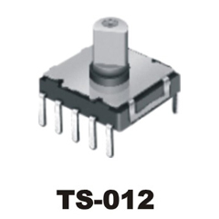 TS-012