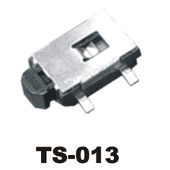 TS-013