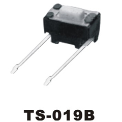 TS-019B