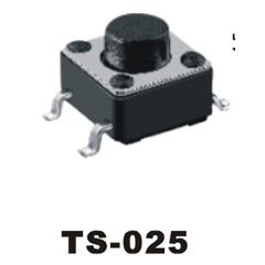TS-025