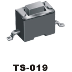 TS-019
