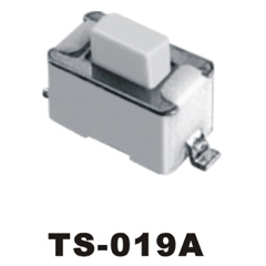 TS-019A