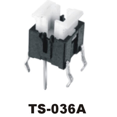 TS-036A