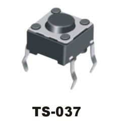 TS-037