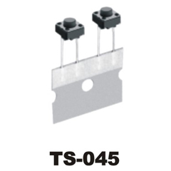 TS-045