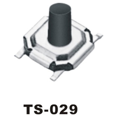 TS-029
