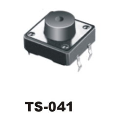 TS-041
