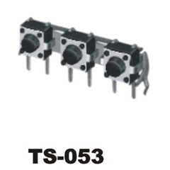 TS-053
